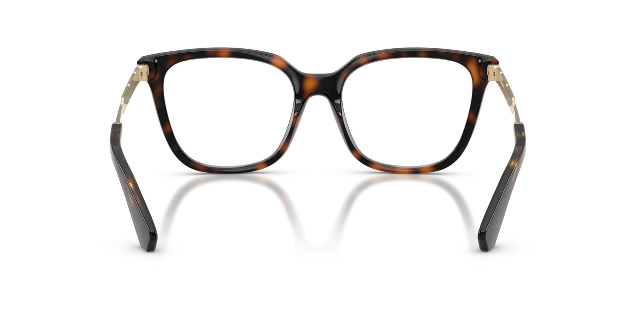 3002 - Brown