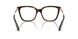 3002 - Brown