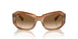 140351 - Tortoise - Clear & Brown