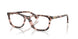6058 - Tortoise