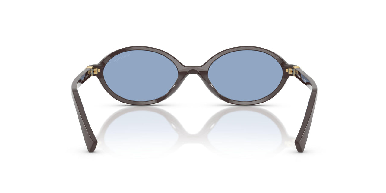 22C60O - Brown - Light Blue