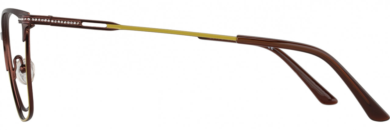 2 - Chocolate / Olive