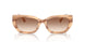 617913 - Brown - Brown Gradient