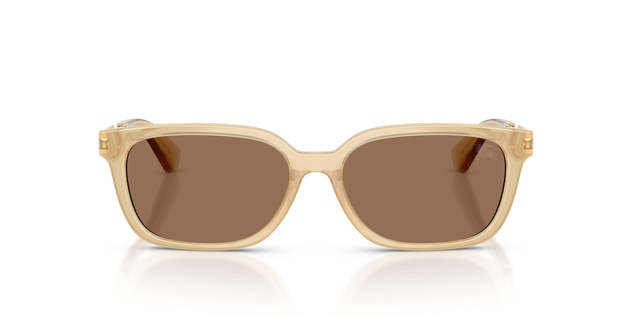 419873 - Yellow - Dark Brown
