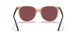 66025Q - Brown - Purple Polar