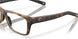 801504 - Tortoise