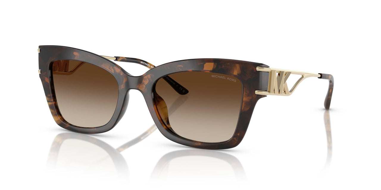 300613 - Tortoise - Brown Gradient