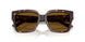 500283 - Tortoise - Polarized Brown