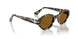 107133 - Tortoise - Brown