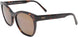 10 - Dark Tortoise - Hcl Bronze