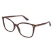 019 - Brown - Transparent