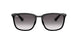 Ray-Ban 4303 Sunglasses