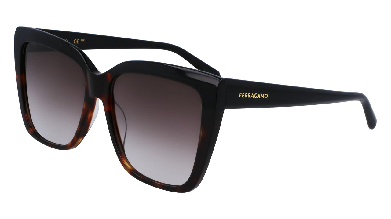 Salvatore Ferragamo SF1102S Sunglasses