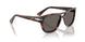 24/B1 - Tortoise - Dark Grey