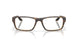 802304 - Tortoise