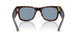 902/56 - Tortoise - Blue