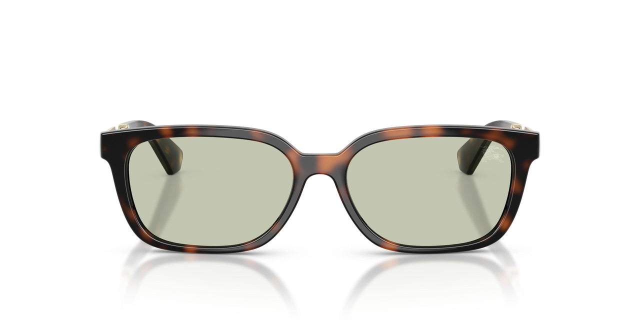 3002/2 - Brown - Light Green
