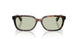 3002/2 - Brown - Light Green