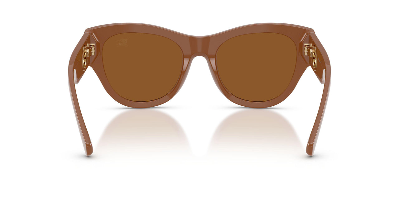 422273 - Brown - Dark Brown