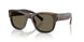 3200/3 - Green - Brown