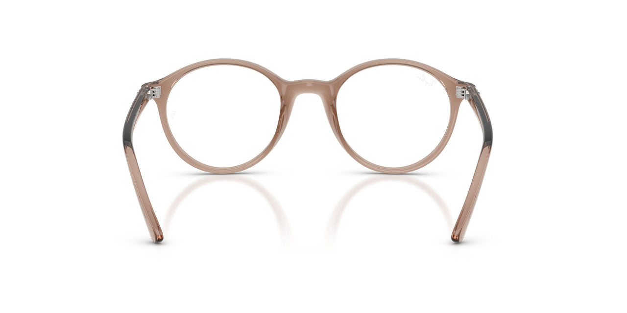 7549 - Brown - Clear