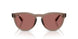682769 - Brown - Dark Violet