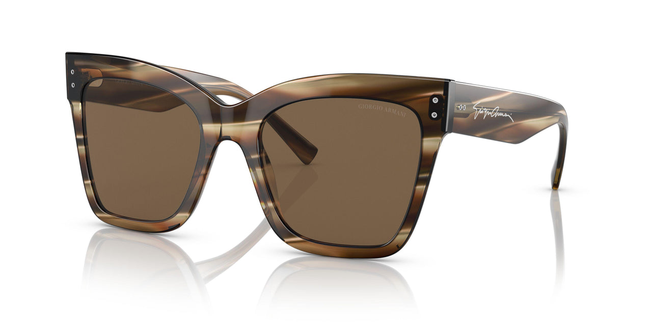 595473 - Brown - Dark Brown