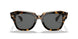 1292B1 - Havana On Trasparent Light Bro - Dark Grey
