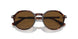 24/57 - Havana - Polar Brown