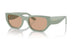 3161/3 - Green - Dark Brown