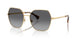 9004T3 - Gold - Polar Gradient Grey