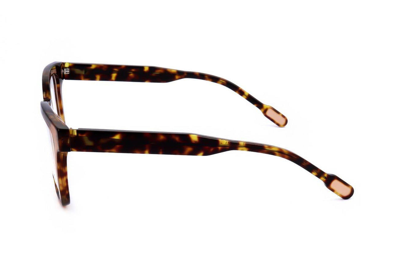 02 - BROWN/TORTOISE