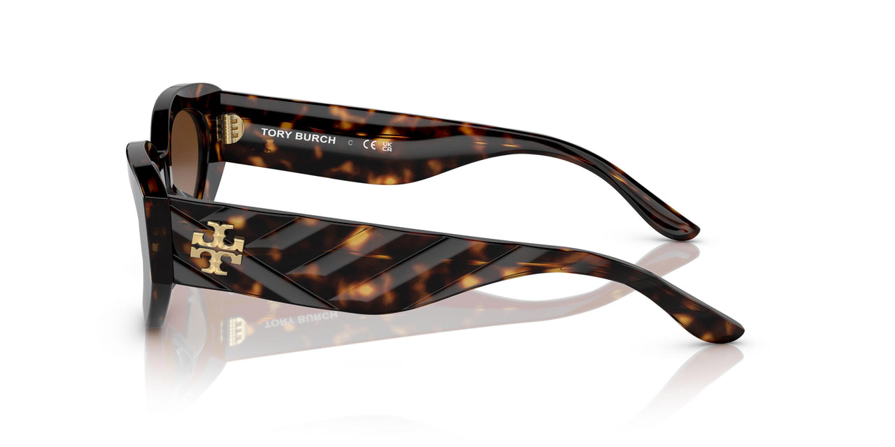 172813 - Havana - Brown Gradient
