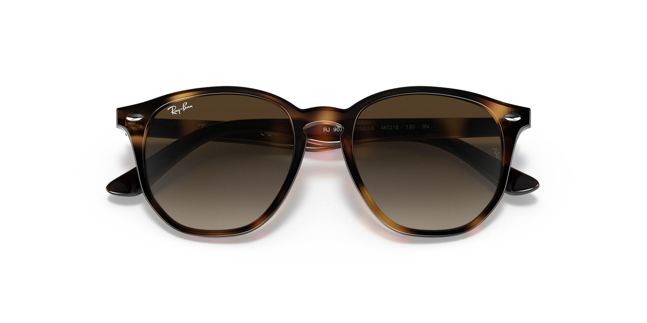 152/13 - Havana - Brown Gradient