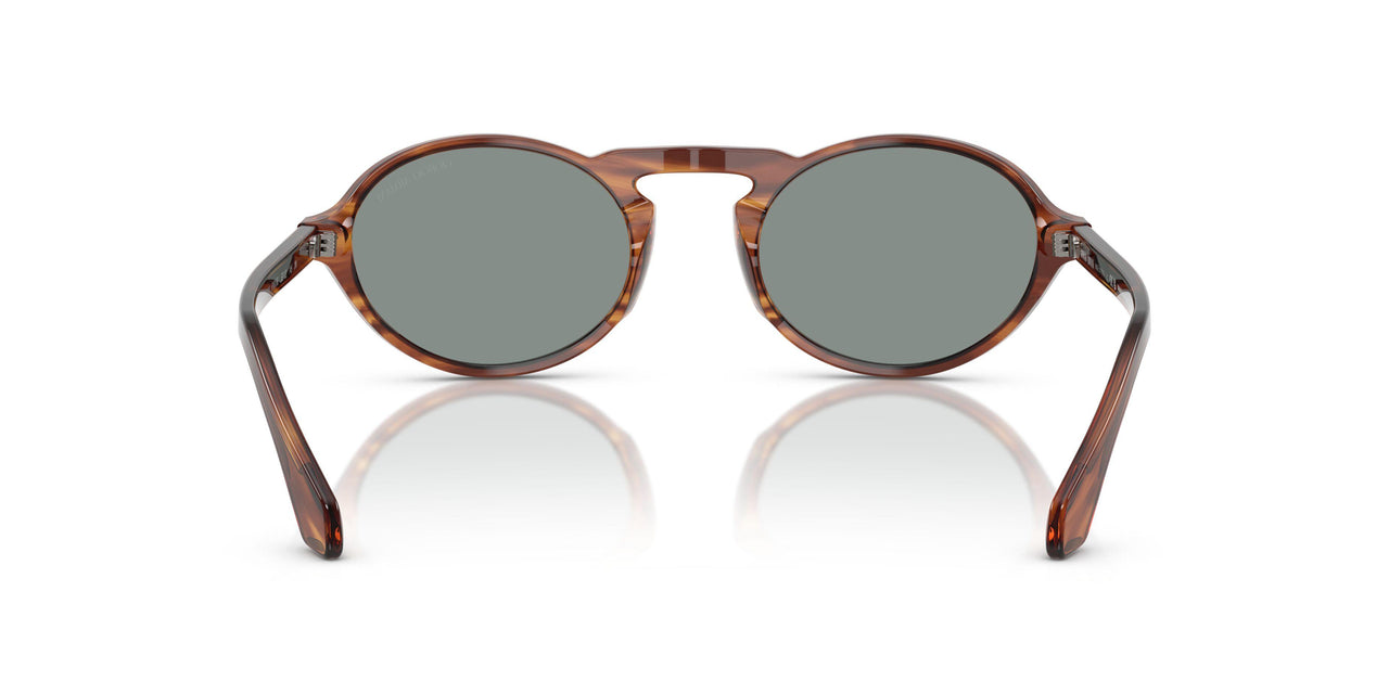 616256 - Tortoise - Blue