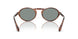 616256 - Tortoise - Blue