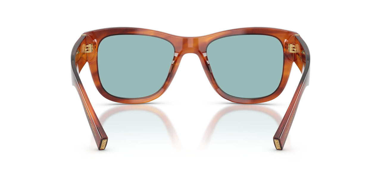 322180 - Tortoise - Blue