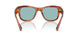 322180 - Tortoise - Blue