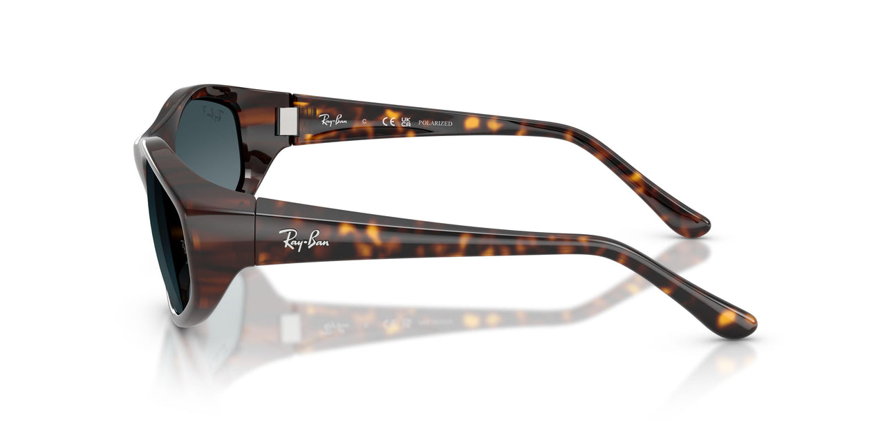 710/S3 - Tortoise - Polarized Light Blue Gradient