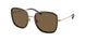 336373 - Tortoise - Brown Gradient