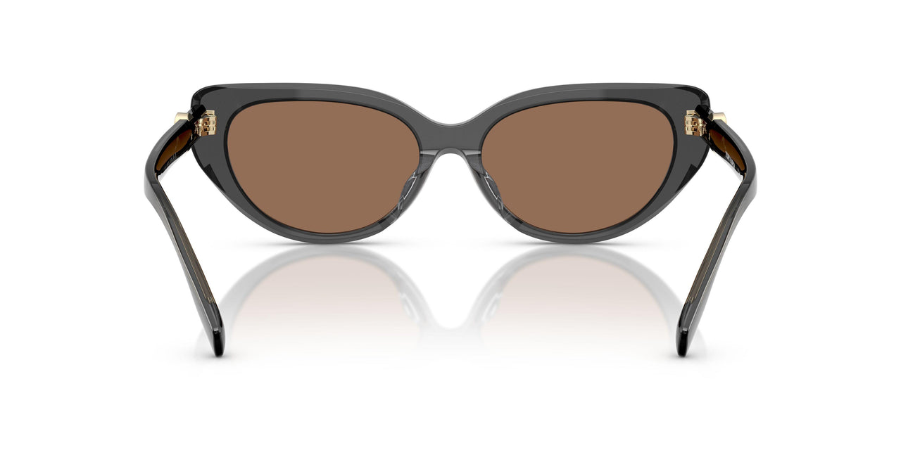 201973 - Grey - Dark Brown
