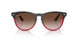 663113 - Grey - Gradient Brown