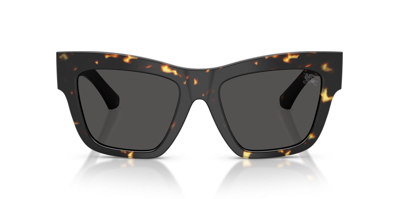 410687 - Tortoise - Dark Grey