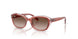 717313 - Pink - Gradient Brown