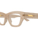 008 - Brown - Transparent