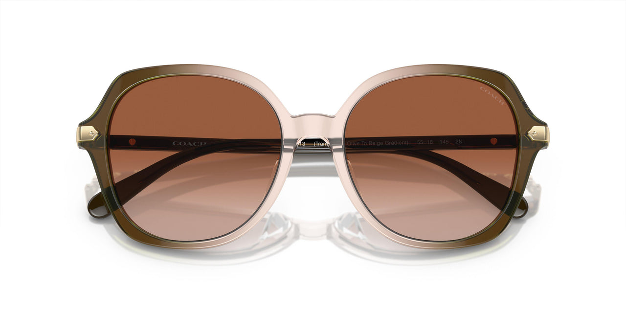 540013 - Olive Beige Gradient - Brown Gradient
