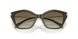 40193M - Green - Olive Gradient