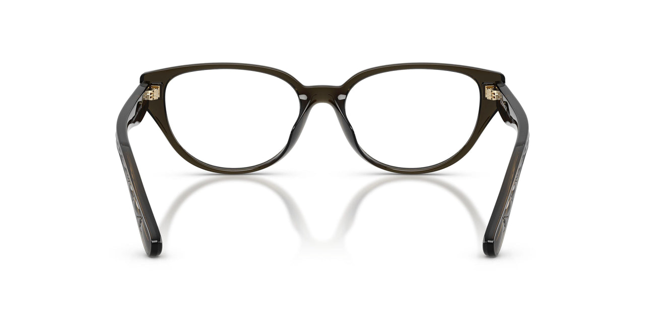 5400SB - Brown - Clear