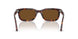 24/57 - Tortoise - Polar Brown
