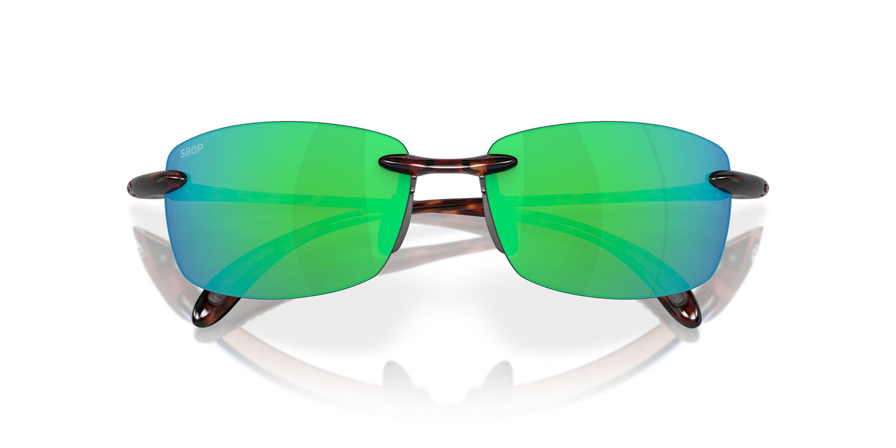 907103 - 10 Tortoise - Green 580p